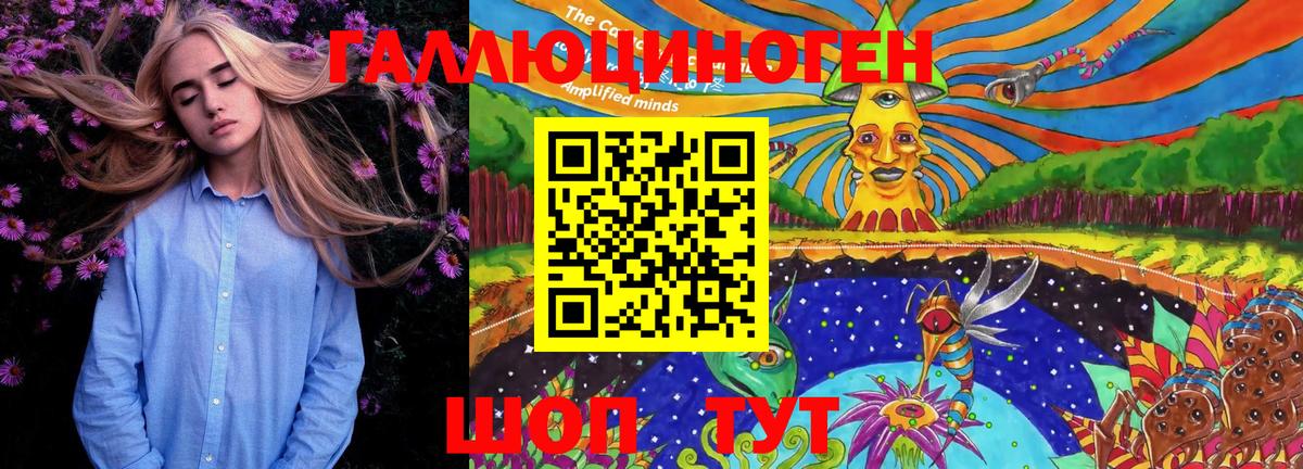 Карабулак  Псилоцибиновые грибы MAGIC MUSHROOMS  Вход с VPN 
