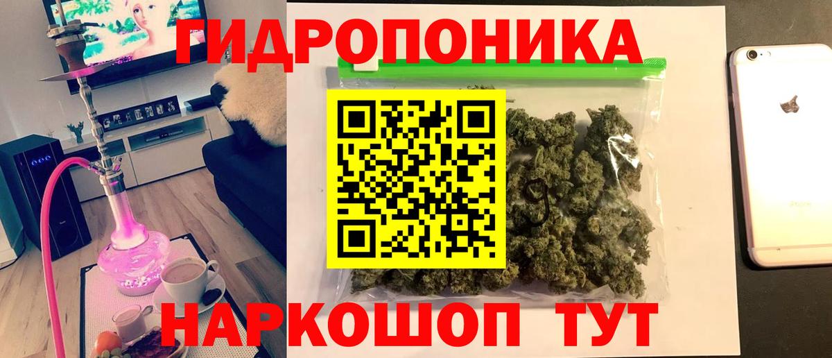 Марихуана семена  Марихуана Amnesia  Канабис THC 21%  Карабулак  Каннабис AK-47 